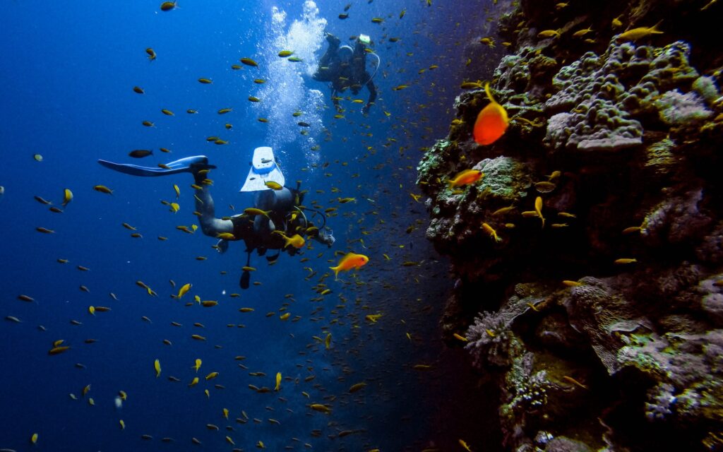 snorkeling adventure
